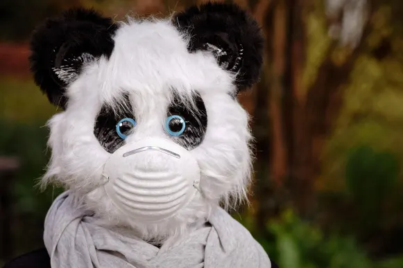 Pronto Kaszinó Támogatás